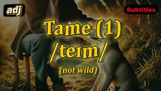 adj Tame meaning not wild with 5 examples [upl. by Ahselef]