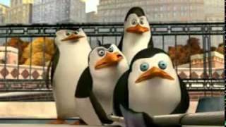 Funny The Penguins Of Madagascar [upl. by Rather]