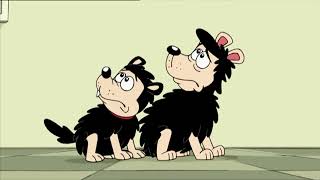 Gnasher and Gnipper are in Trouble  Funny Episodes  Dennis and Gnasher [upl. by Evalyn]