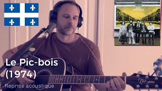 Le picbois  Beau Dommage Reprise acoustique par AKWAN version lente feu de camp [upl. by Yanaton]