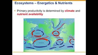 Biogeochemical cycles [upl. by Flam]