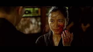 Ninja assassin Movie Hindi Dubbed Part9 [upl. by Euqirrne869]