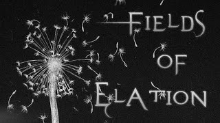 Fields Of Elation  Sleep Token Lyrics [upl. by Pope513]