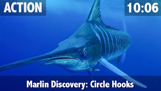 How to Catch a Marlin amp How to Feed a Marlin your Bait [upl. by Donata125]