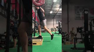 Barbell Deficit Reverse Lunge [upl. by Alinna]