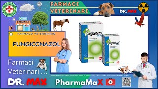 🐶 FUNGICONAZOL Farmaco Veterinario a cosa serve   Foglietto Illustrativo 👔 Dr MAX [upl. by Hebe877]