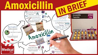 Amoxicillin 500mg Capsule What is Amoxicillin Used For Dosage Contraindications amp Precautions [upl. by Xel951]