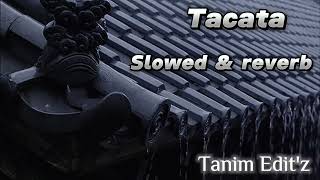 Tacata। slowed amp reverb। Bass Boosted। Tiktok viral Music। Tanim Editz [upl. by Sig]