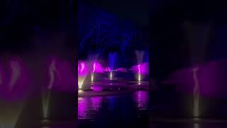 Brooklyn Botanic Gardens Lightscape [upl. by Adiari]