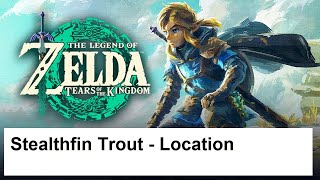 The Legend of the Zelda Tears of the Kingdom  Stealthfin Trout  Location [upl. by Bronez]