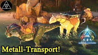 Metall sammeln mit dem Dino Rudel ► ASA E36  ARK Survival Ascended [upl. by Nuy]