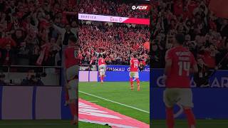 BENFİCA🪄 PORTO GOLL DİMARİA benfica keremaktürkoğlu orkunkökçü dimaria [upl. by Jar]