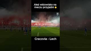 CRACOVIA  LECH ATMOSFERA NA TRYBUNACH ekstraklasa cracovia lechpoznań football ekstraklasa [upl. by Gnex]