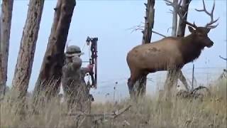 Montana archery elk hunt [upl. by Novi610]