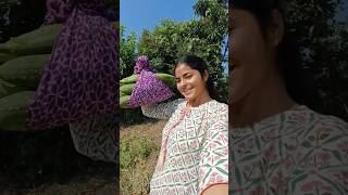 Navratri ka dusra Vrat 😍🌴minivlog ytshort vlog shorts [upl. by Etep299]