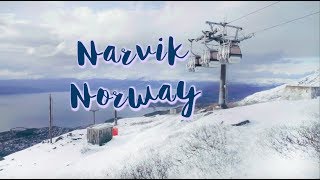 Things to Do in NARVIK NORWAY [upl. by Savick]