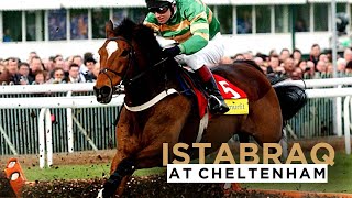 THE GREATEST HURDLER EVER ISTABRAQS FOUR CHELTENHAM FESTIVAL WINS [upl. by Lennahc]