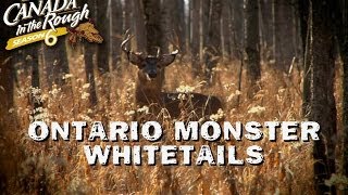 Ontario Monster Whitetails  Web Exclusive Mature Deer Hunt [upl. by Luap969]