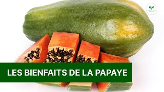 Découvrez les Incroyables Pouvoirs de la Papaye 🌿🥭 [upl. by Tem]