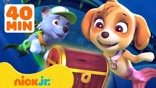 PAW Patrol Daring Mermaid Jungle Pup Adventures amp More🧜‍♀️ w Skye amp Rocky  40 Minutes  Nick Jr [upl. by Vihs]