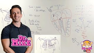 Understanding ECGs  From Placement to Interpretation [upl. by Gardel]