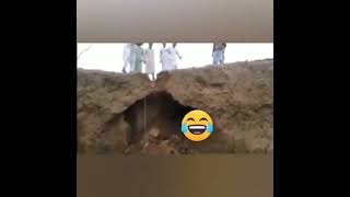 Char gadhey comedy funnyvideo funny [upl. by Peony]