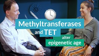 Methyltransferases and TET a demethylation enzyme alter epigenetic age  Steve Horvath [upl. by Michelle]