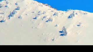 Wasatch Mountain Bigfoot Filmed then Tracked by Helicopter [upl. by Eyr]