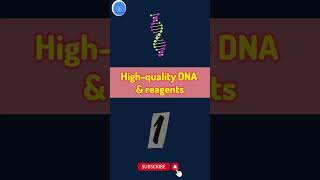 Mastering PCR 7 Tips for Accurate and Reliable Results How to Avoid Common PCR Mistakes [upl. by Airod609]