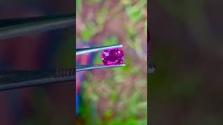 503ct Natural PinkshRed Ruby Unheated Untreated Loop Clean Origin Madagascar [upl. by Onairot]