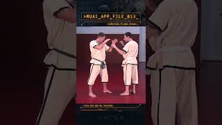 MUAI  Tech Application File 013 Berlin 1999 Pahuyuth Muai Martialarts [upl. by Bevash]