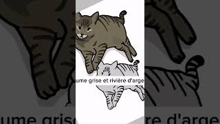 Plume grise et rivière dargent lgdc warriorcats [upl. by Sandler]