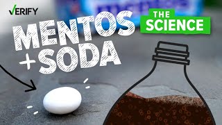 VERIFY The Science Behind Why Mentos Makes Soda Explode [upl. by Lundell]