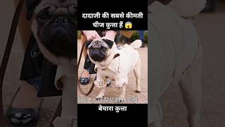 यह कुत्ता दादी की सबसे कीमती चीज हैं 😱  short anime cartoon dog [upl. by Abbe]