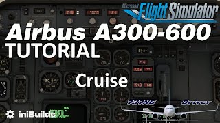 iniBuilds A300600 Tutorial 8 Cruise  Real Airbus Pilot [upl. by Ahsenaj]