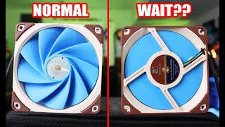 This Fan Crushes Noctua A12x25 by 125  Fan Showdown S6E5 [upl. by Anilemrac937]