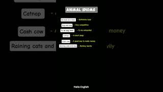 Animal idioms HELLO ENGLISH subscribe englishlearning viral [upl. by Vyner]