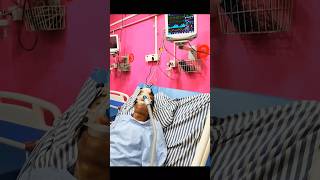 Bipap machine seting the patient and Cardiac monter running time hospital shorts viral [upl. by Ivan557]