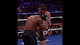 boxing caneloalvarez caneloslefthook lefthook Canelos left hook so strong [upl. by Deni811]