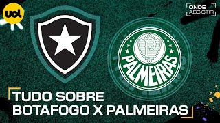 BOTAFOGO X PALMEIRAS ONDE ASSISTIR TRANSMISSÃO AO VIVO E HORÁRIO PELA LIBERTADORES [upl. by Netnilc]