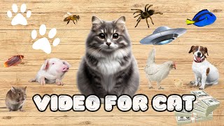 CAT Games  Ultimate Cat TV Compilation 1 HOURS 🐝🐞🦋🦎🦜🐜🐭🧵 Video For Cats [upl. by Arand]