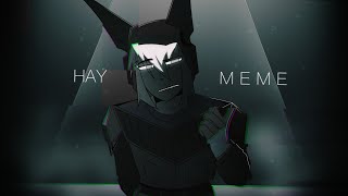 □ HAY  meme ■ [upl. by Akeret140]