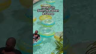 Swim like Swan Yes We Can swansway floating shorts shortsfeed shortsviral [upl. by Hungarian]