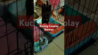 Kucing Cosplay Batman adiadaaja parody plottwist reaction [upl. by Spear171]