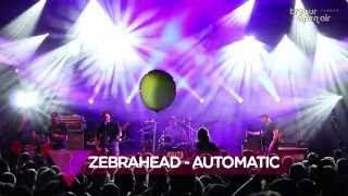 22 Trebur Open Air  Zebrahead  Automatic [upl. by Nosduj642]