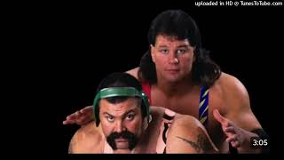 Steiner Brothers WCW Theme “Swamp Dog” FULL TRACK [upl. by Afinom684]