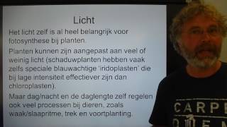 Biologie HV BB Individuen ecologie [upl. by Aym]