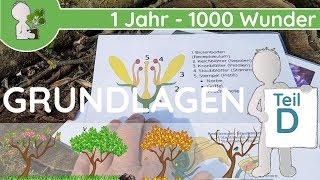 📚 1 Jahr  1000 Wunder  Grundlagen Teil D Aufbau der Blüte  BotanikGrundlagenWissen [upl. by Amena]