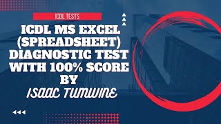 ICDL Spreadsheet Diagnostic Test with 100 score [upl. by Andres926]