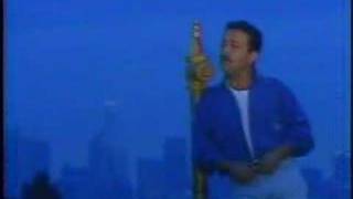 Shahrokh  Gharibeh Official Video [upl. by Tnaryb692]